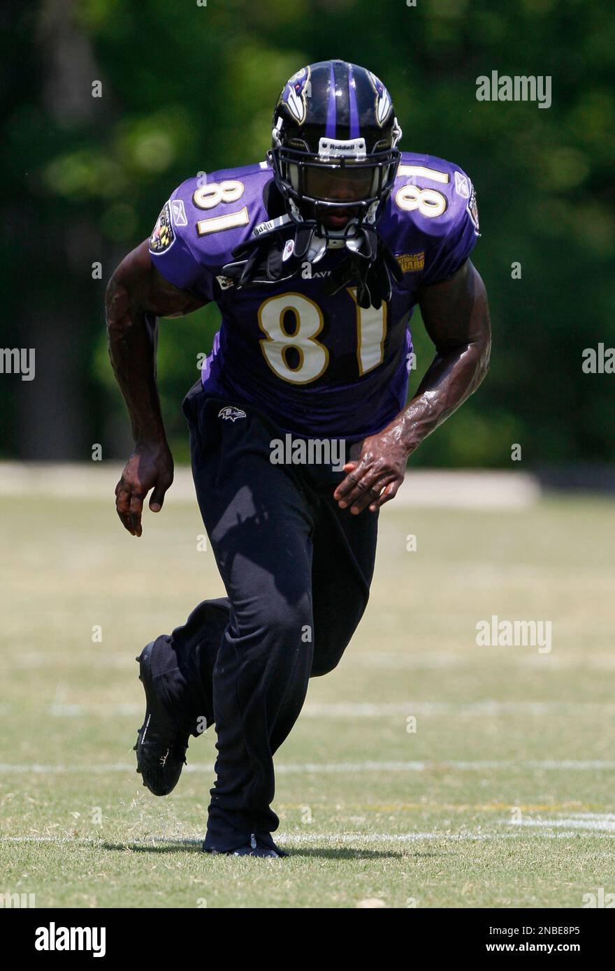 Baltimore Ravens wide receiver Anquan Boldin runs a drill with gloves  attached to his facemask in Owings Mills, Maryland, Thursday, August 4,  2011. (Photo by Kim Hairston/Baltimore Sun/MCT/Sipa USA Stock Photo 