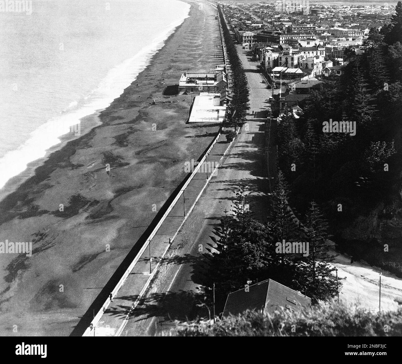 Napier earthquake 1931 tsunami