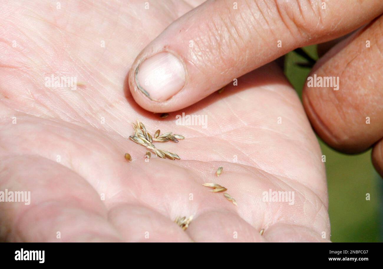 In this photo taken July 22, 2011, Dennis Glaser, 64, of Tangent, Ore