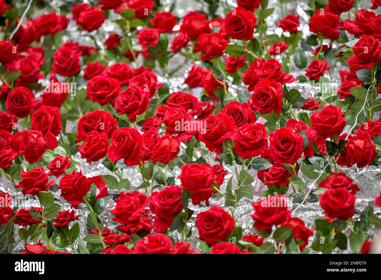 Stairs covered with 10,000 roses attract people to take photos in a ...