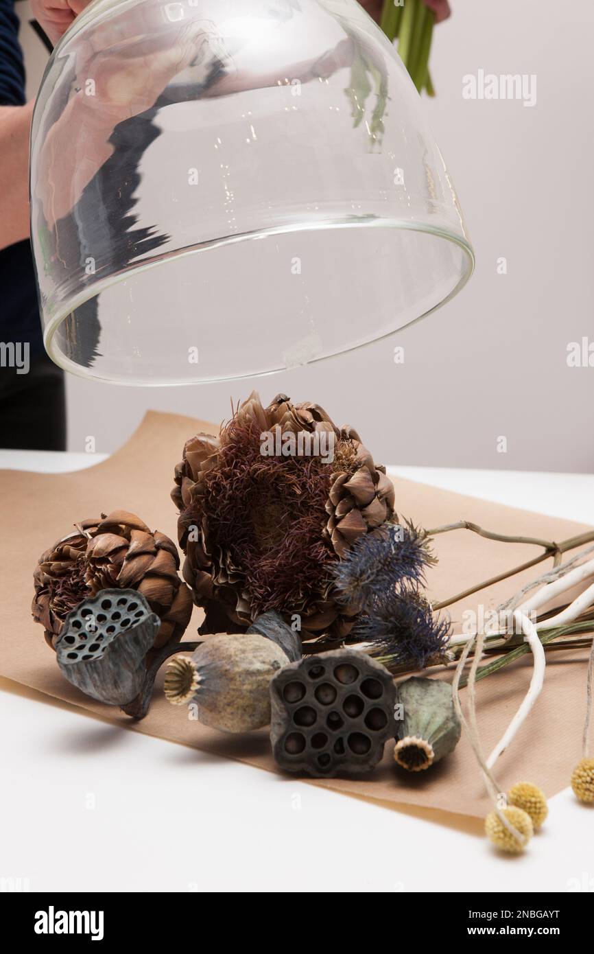 Dried up plants put under glass pot Stock Photo Alamy