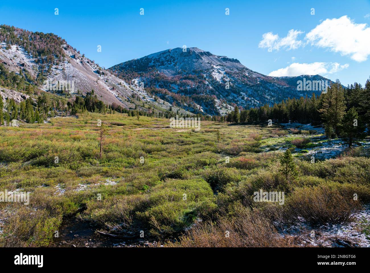 The beautiful landscape of Galena creek falls in Mount Rose Wilderness