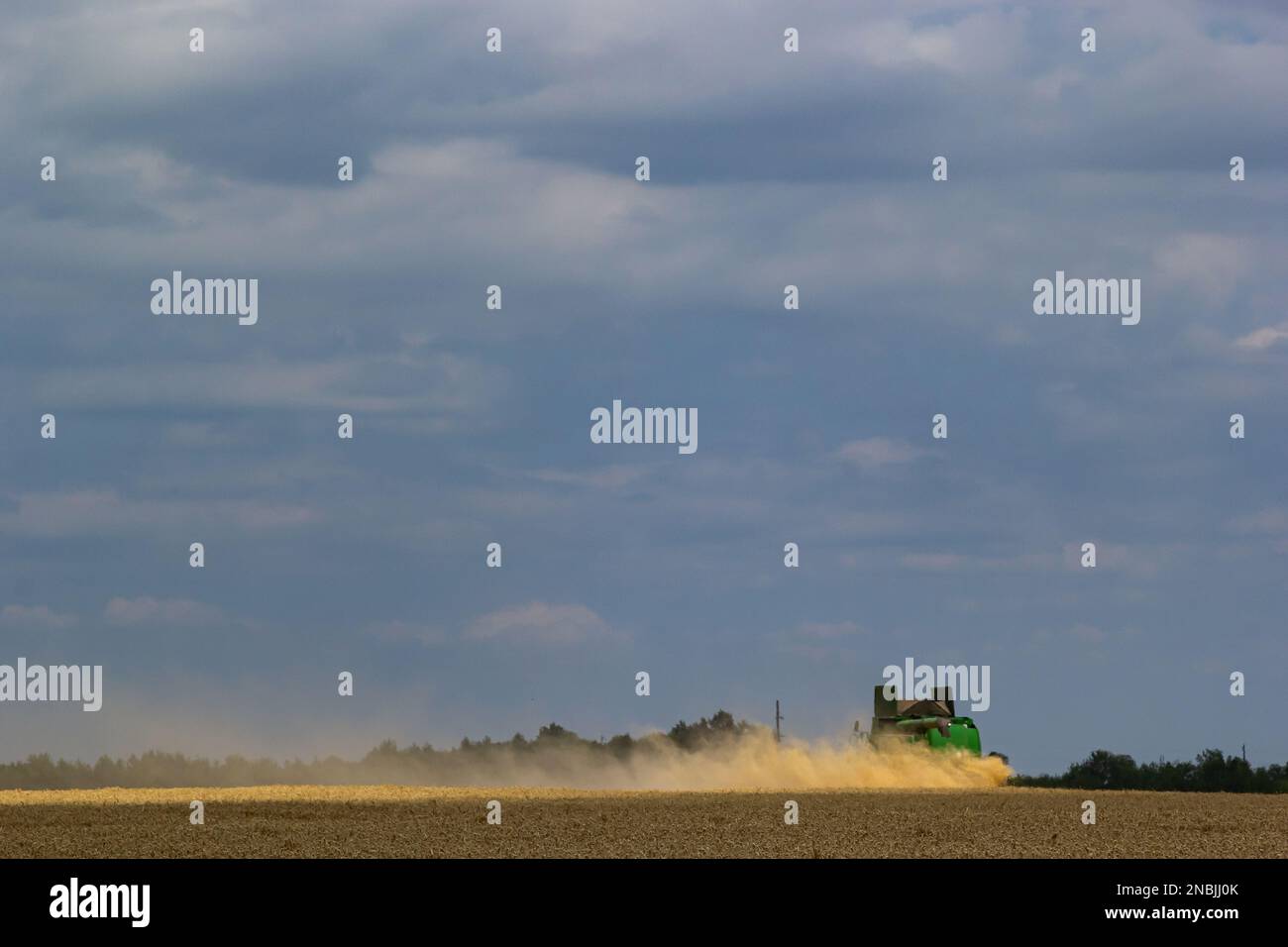 Combine harvester harvests ripe wheat. Ripe ears of gold field on the cloudy sky background. . Concept of a rich harvest. Agriculture image. Stock Photo