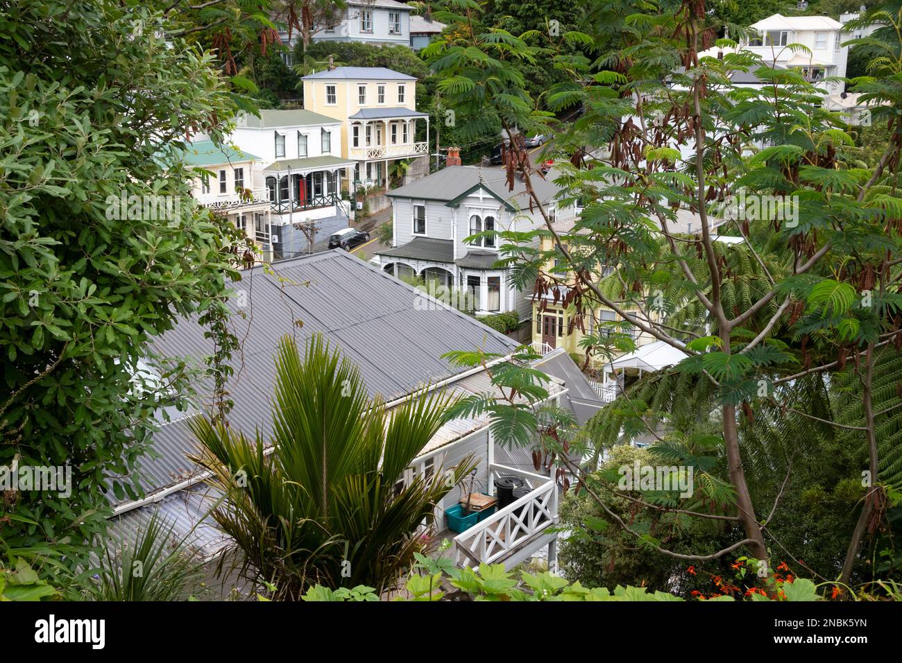 Houses on hillside, Thorndon, Wellington, North Island, New Zealand