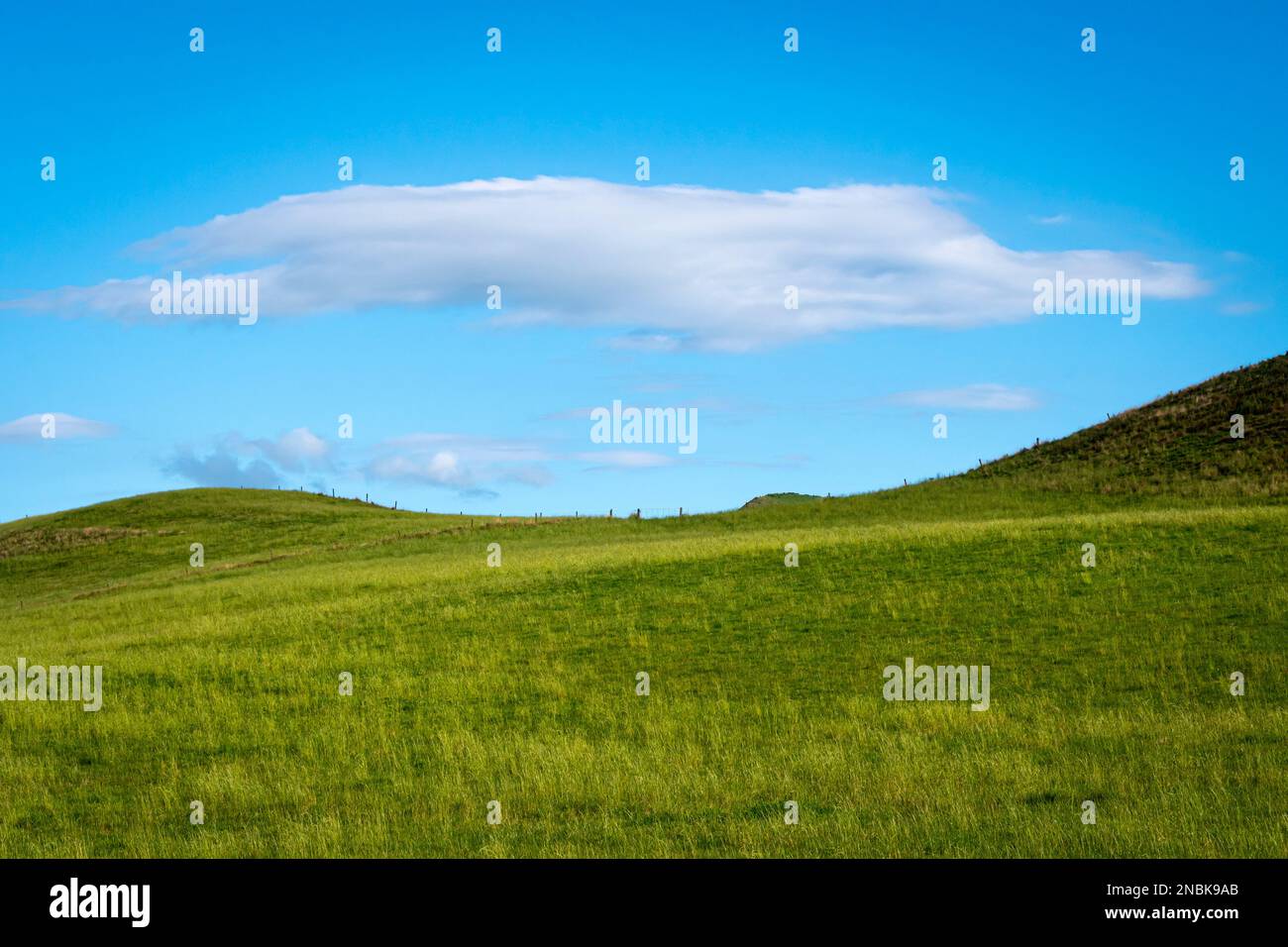 Takapau, Central Hawkes Bay, North Island, New Zealand Stock Photo Alamy