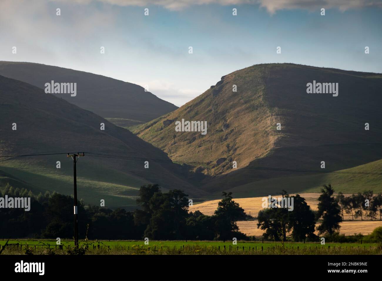 Hill country farmland, Takapau, Central Hawkes Bay, North Island, New