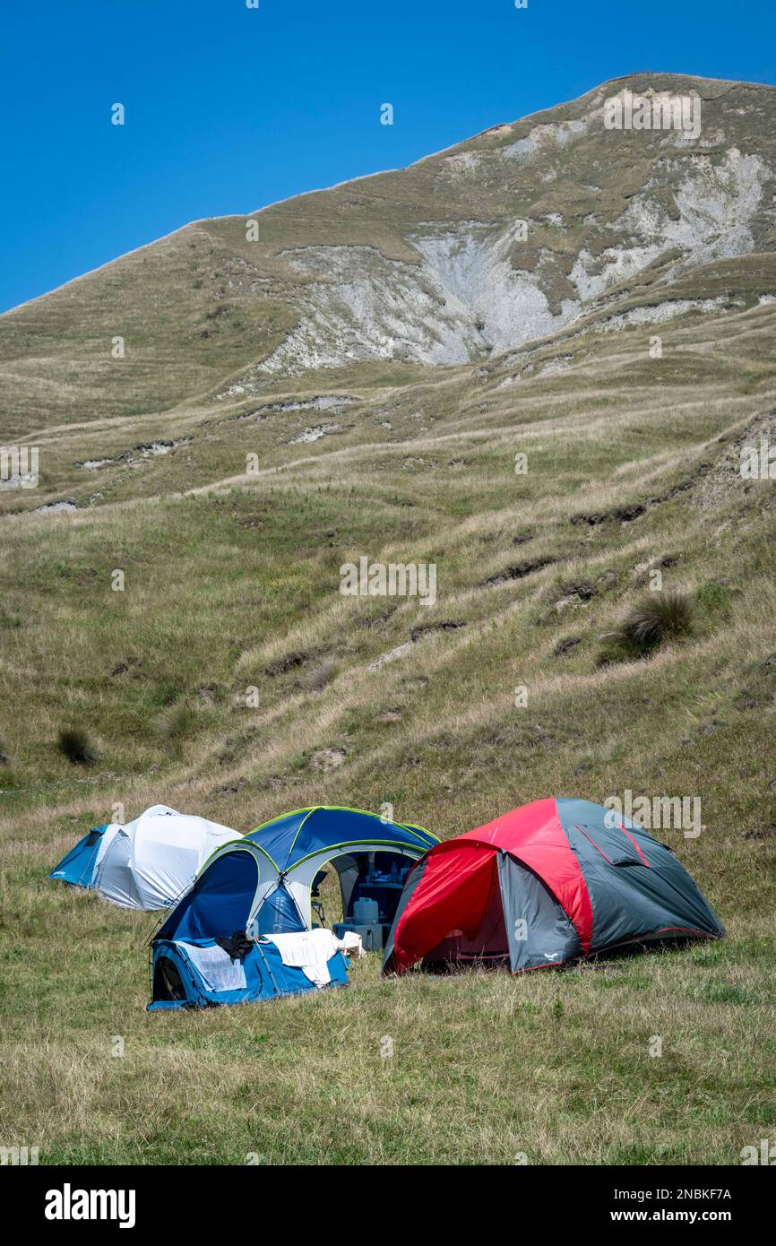 Camping in field below steep hills, Pourerere Beach, Central Hawkes Bay