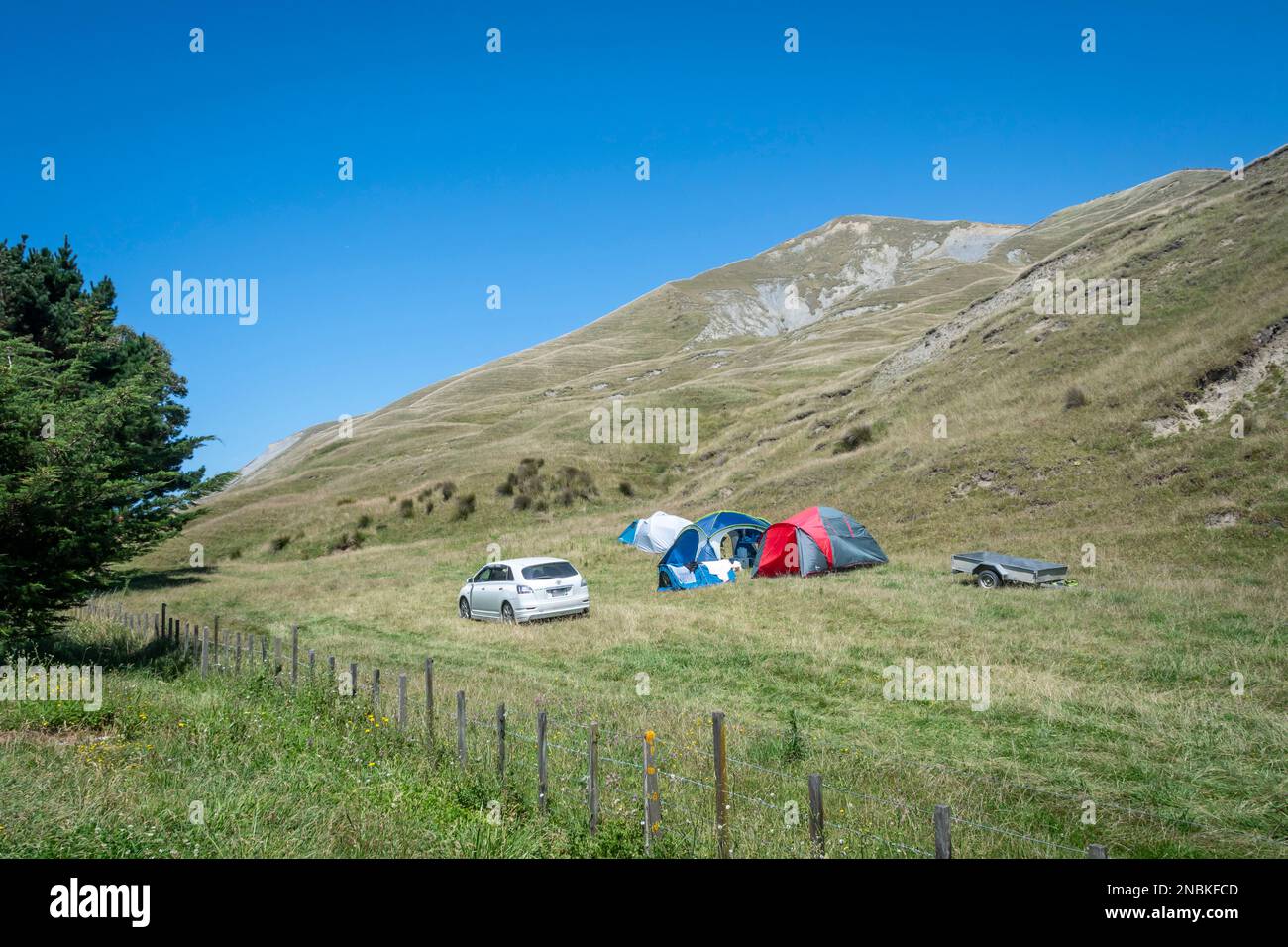 Camping in field below steep hills, Pourerere Beach, Central Hawkes Bay, North Island, New Zealand Stock Photo