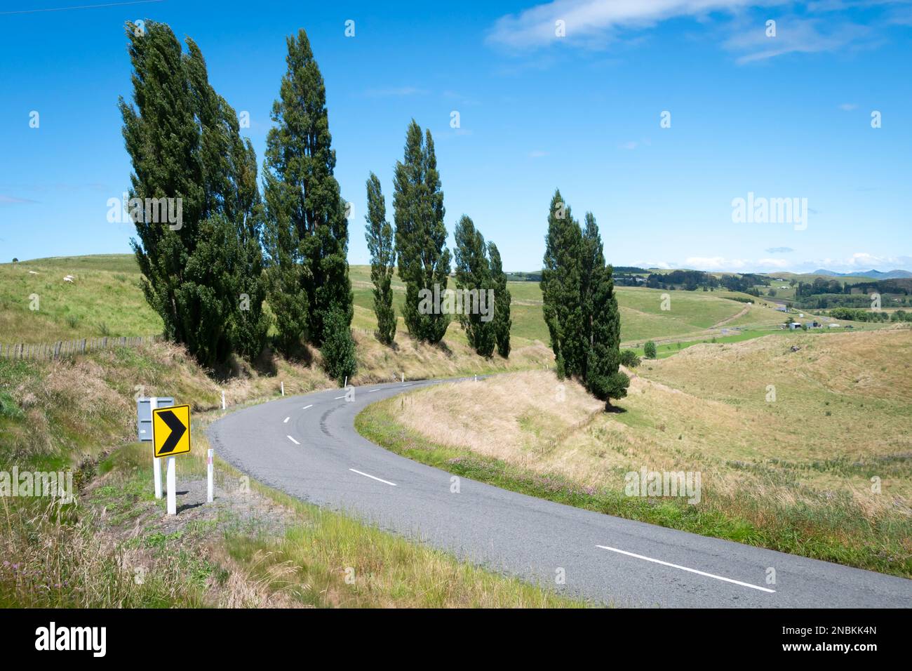 Lindsay Road, near Waipukurau, Central Hawkes Bay, North Island, New Zealand Stock Photo