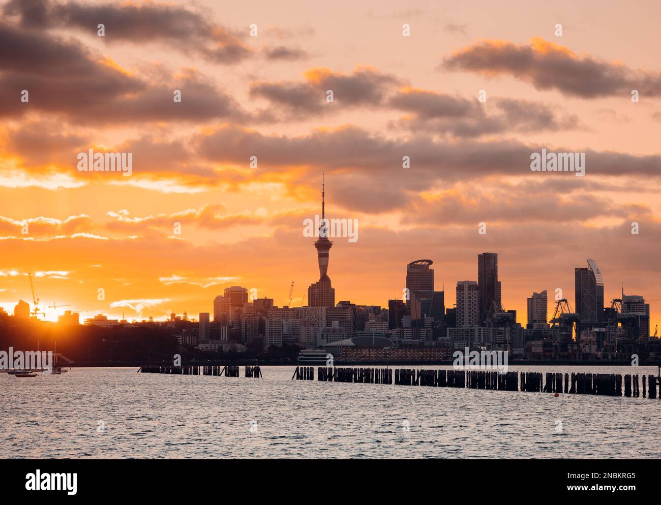 A sunset view of the cityscape of Auckland's Central Business District