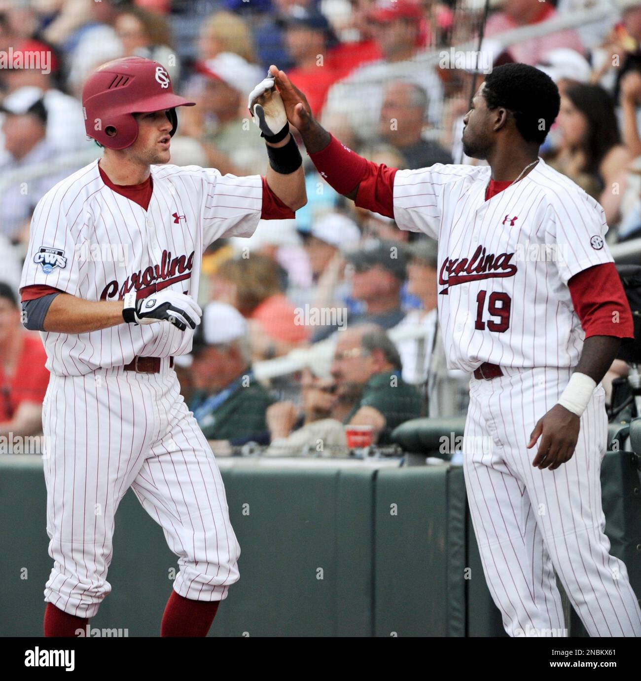 South Carolina's Scott Wingo, left, exchanges high fives with teammate Jackie  Bradley, Jr., after Wingo scored against Texas A&M on a throwing error in  the first inning of an NCAA College World