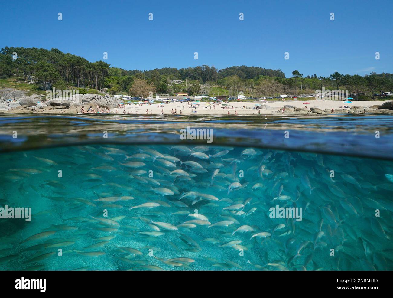 Atlantic coast beach in summer with fish underwater in the ocean, Spain