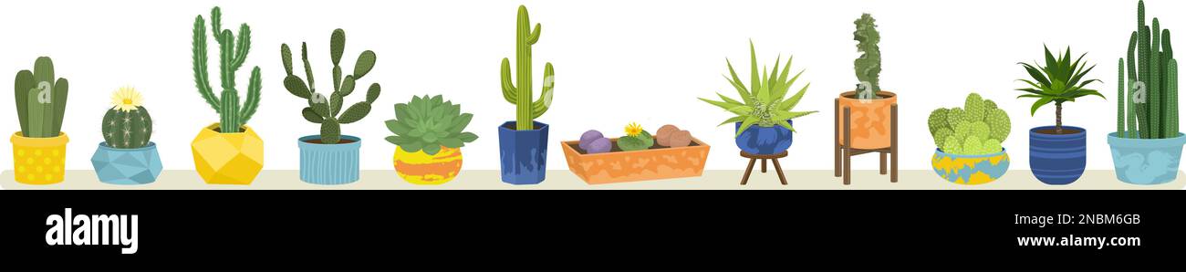 Cactuses flat colored concept cacti of different varieties in pots ...