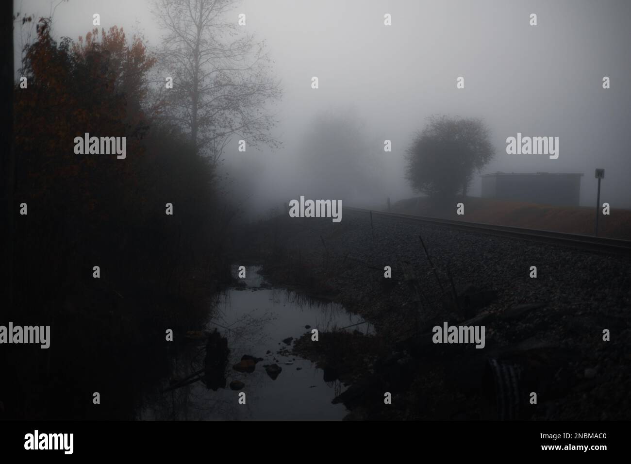 An aerial view of lake surrounded by trees in foggy day Stock Photo - Alamy