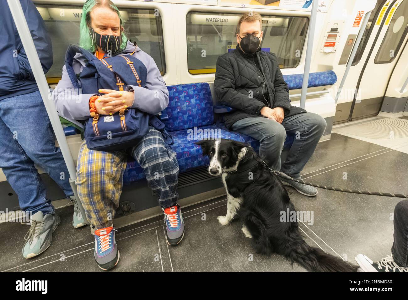 England, London, Passengers and Dog in Underground Stock Photo Alamy
