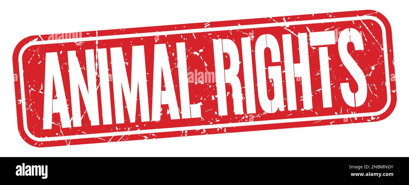 Animal rights word hi-res stock photography and images - Alamy