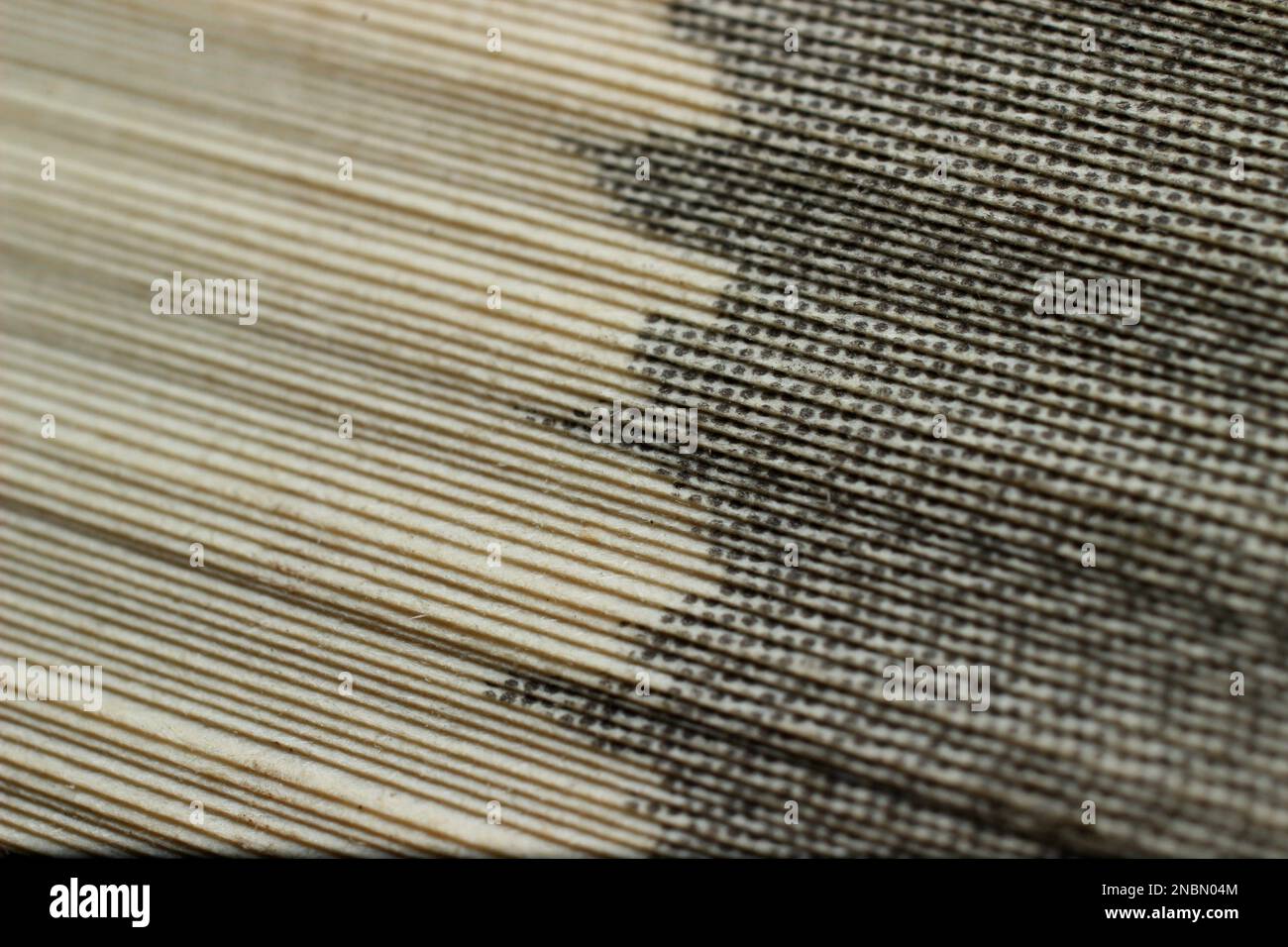 book sheets folded at different angles closeup Stock Photo Alamy