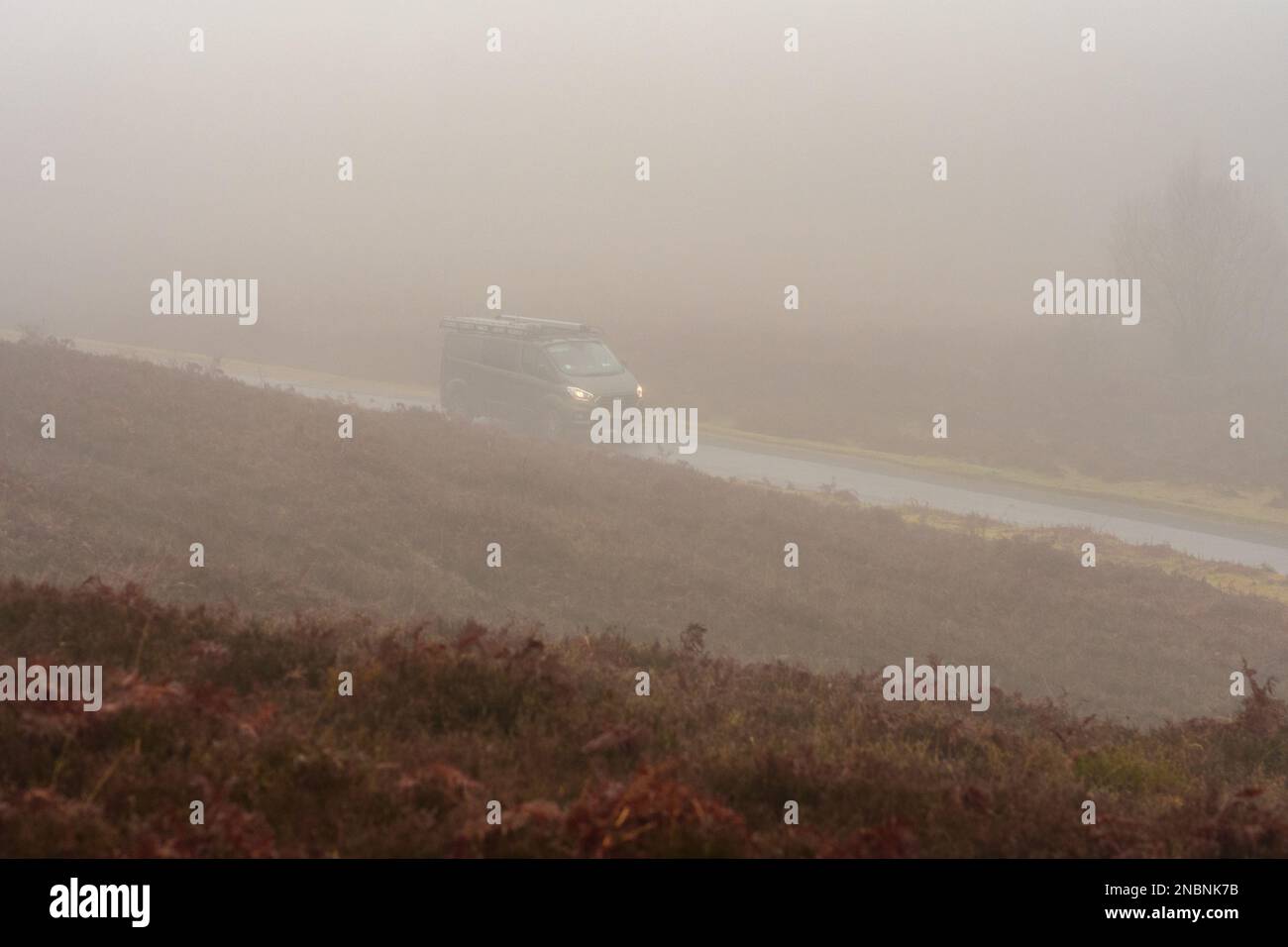 Ringwood, Hampshire, England, UK, 14th February 2023, Weather: Fog: Driving in morning mist at Rockford Common in the New Forest. Credit: Paul Biggins/Alamy Live News Stock Photo
