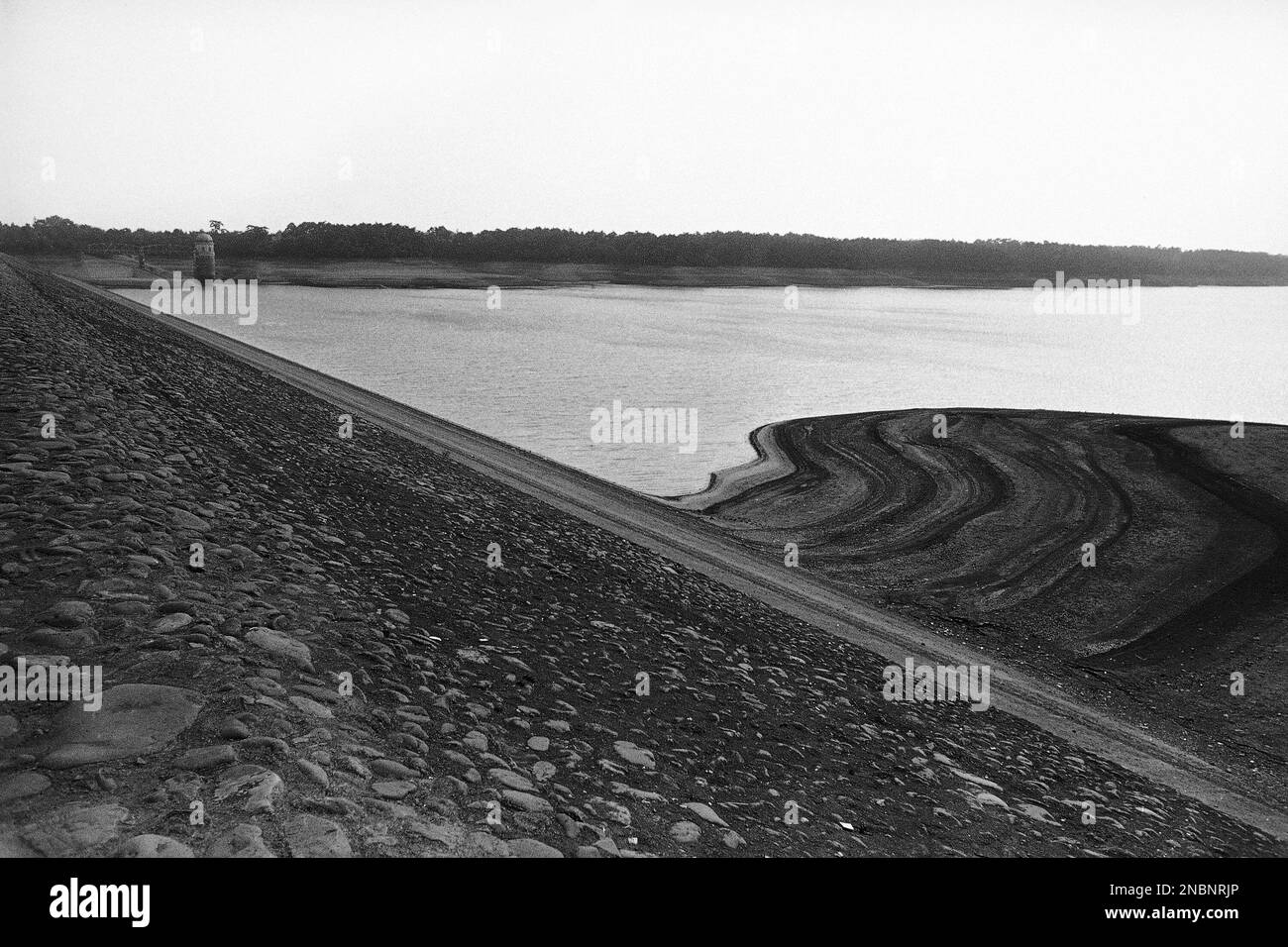 The bottom of the Murayama reservoir, a major water source in Tokyo