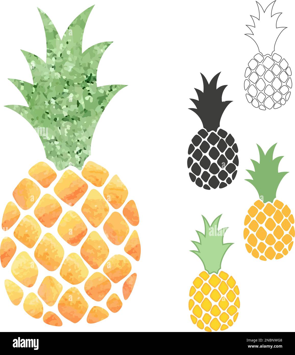 PIneapple isolated on white. Vector illustration. Stock Vector
