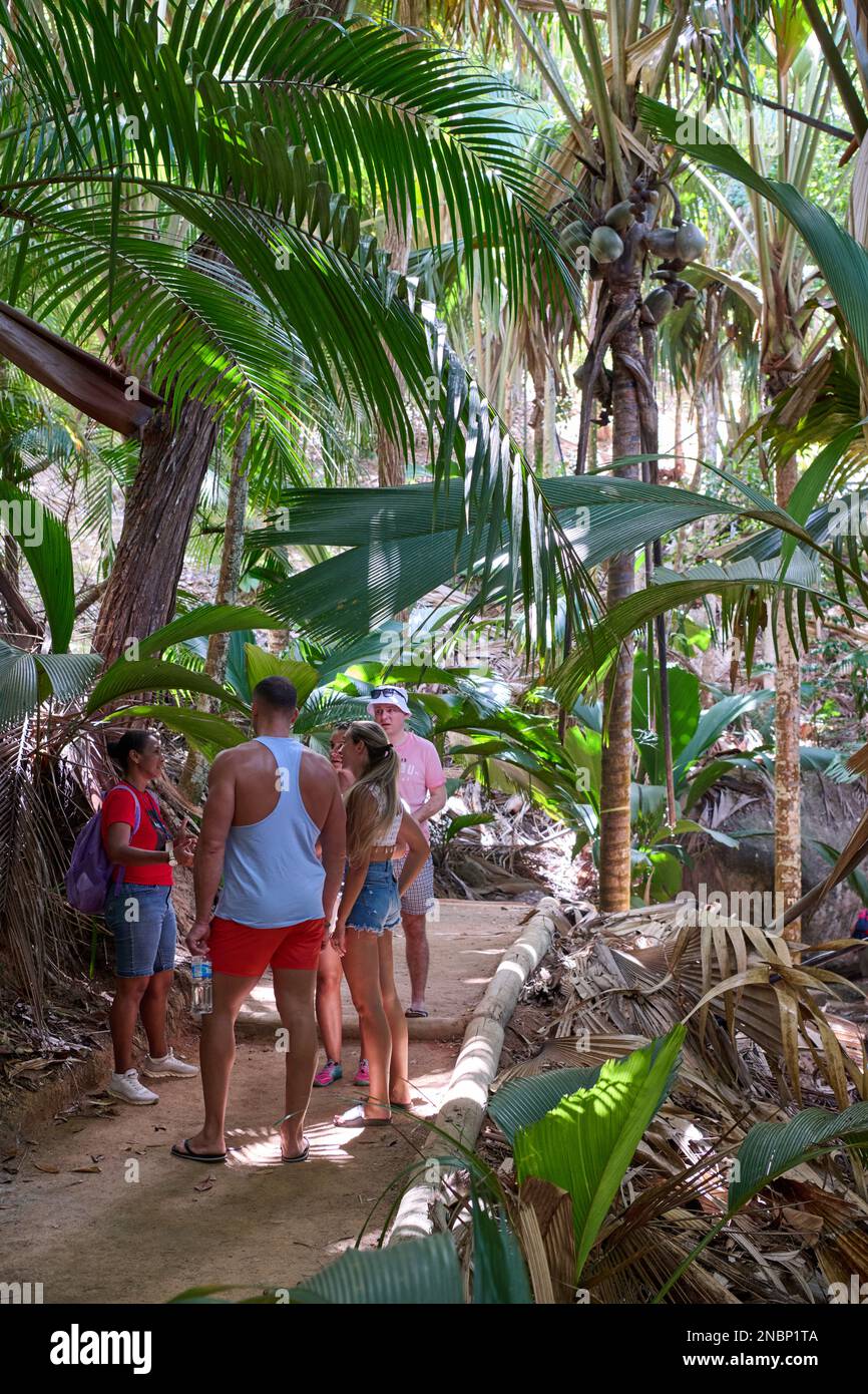 Guide teaching tourists in Vallee de Mai about Coco de Mer, Praslin ...