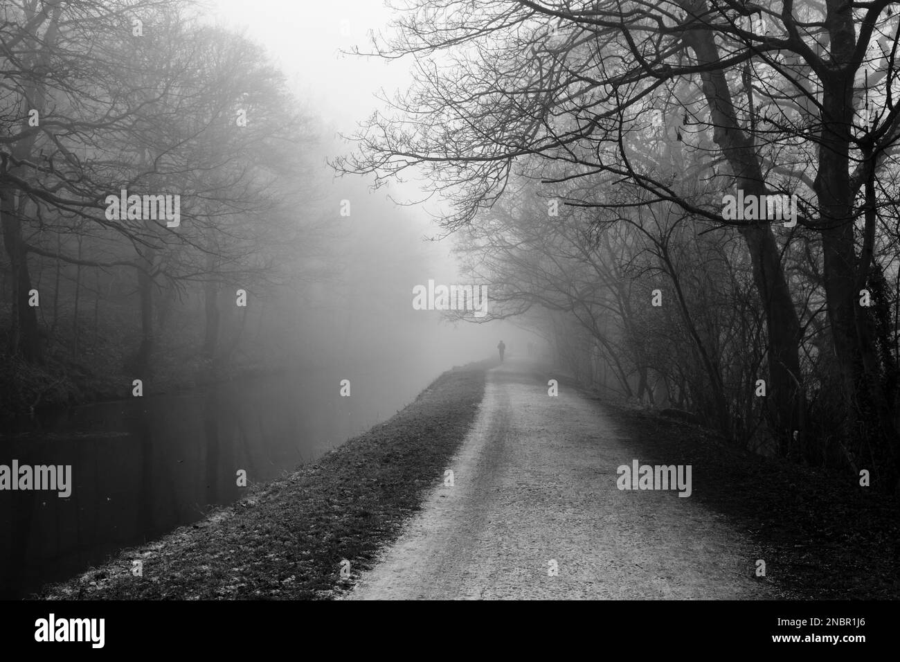 Black and white image of a canal towpath in misty conditions with an ...