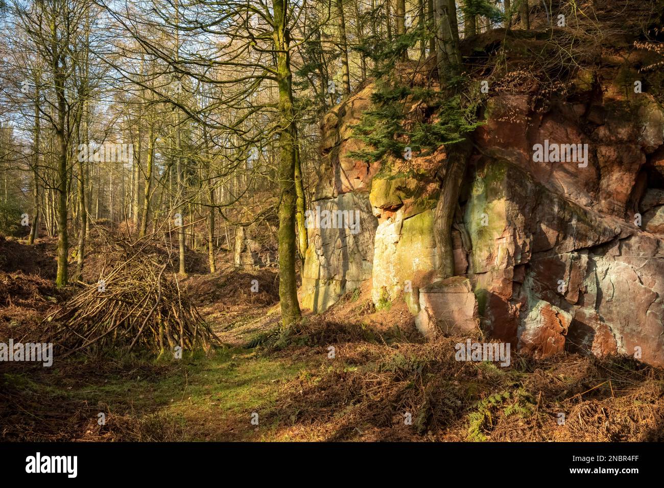 Sticks and stones in Beacon wood, Penrith, Cumbria, UK Stock Photo