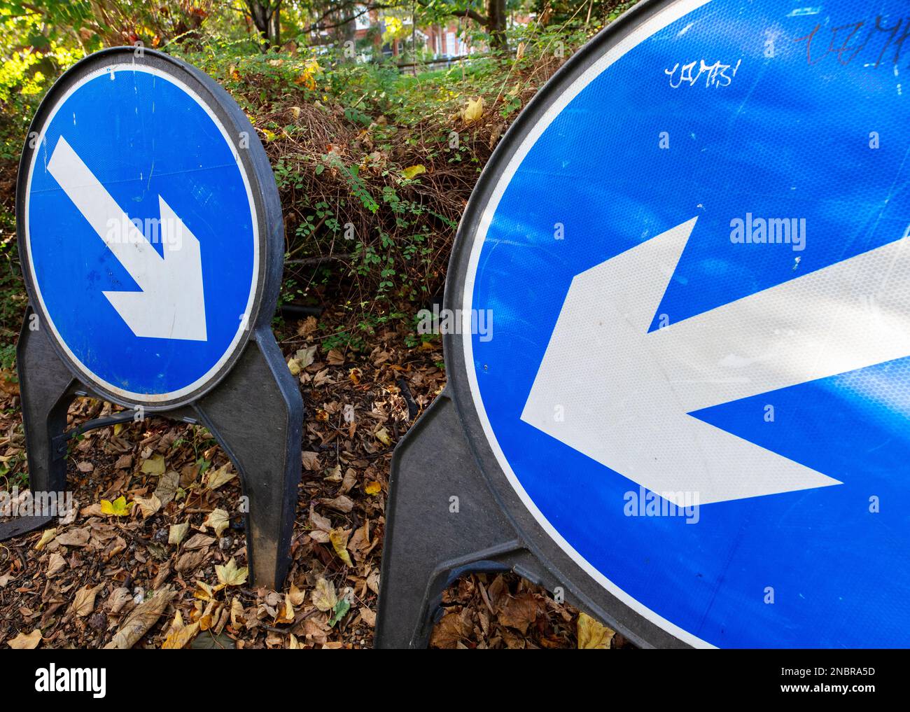 Kew, a district near Richmond, London, hone of the Royal Botanic