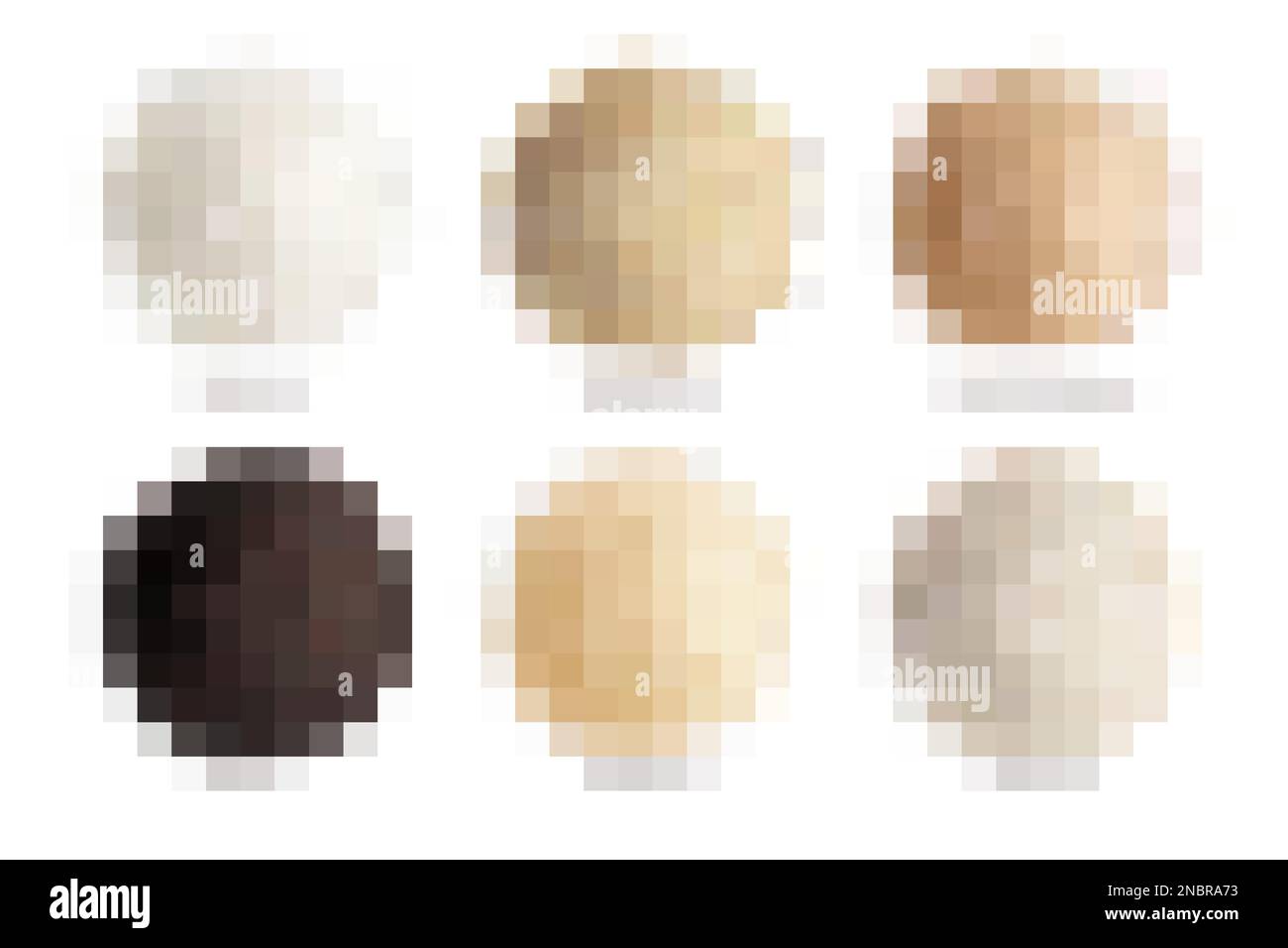 Rice varieties realistic collection of arborio unpolished brown short