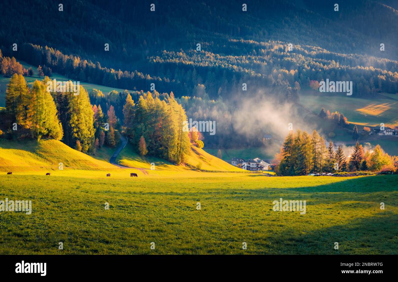 Misty autumn view of Santa Maddalena village. Dramatic morning landscape of Dolomite Alps, Italy, Europe. Beauty of countryside concept background. Stock Photo