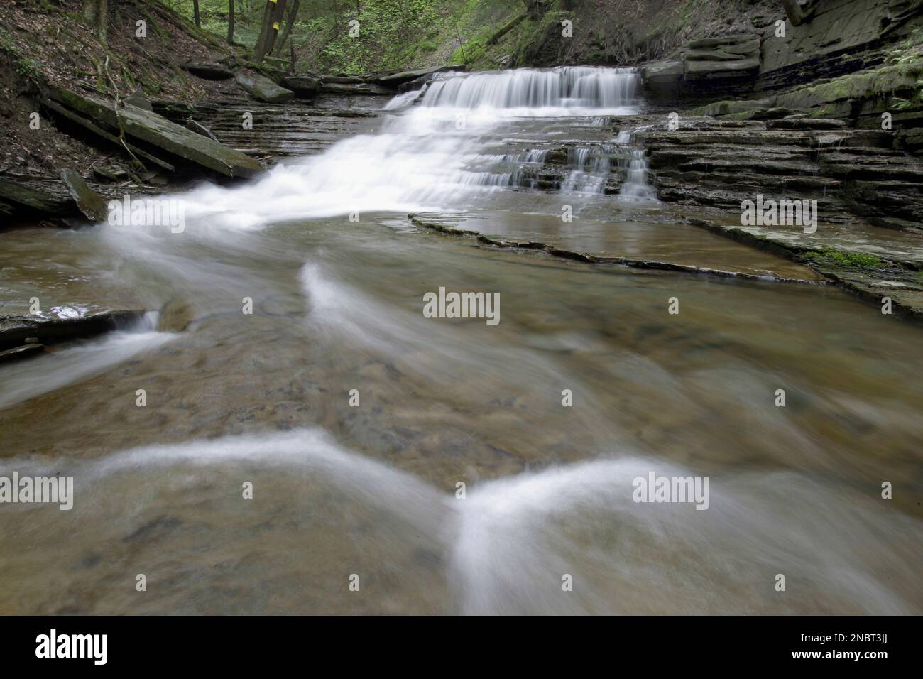 Water flows over Reynolds Gully waterfalls during the wet spring