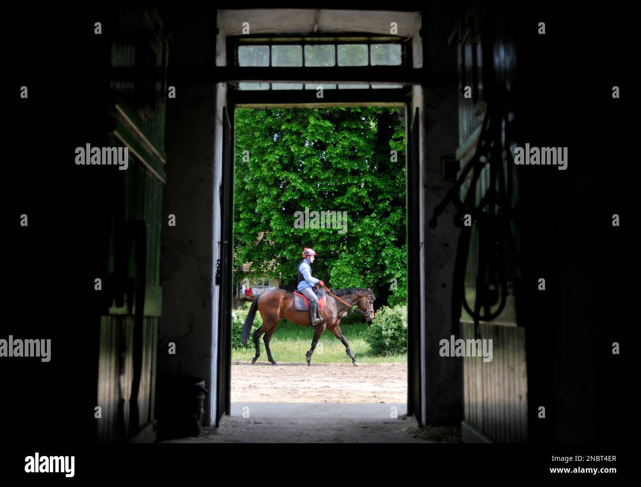 in-this-wednesday-april-27-2011-photo-sprinter-race-horse-overdose