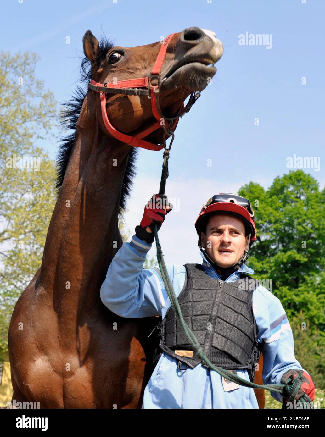 in-this-wednesday-april-27-2011-photo-sprinter-race-horse-overdose