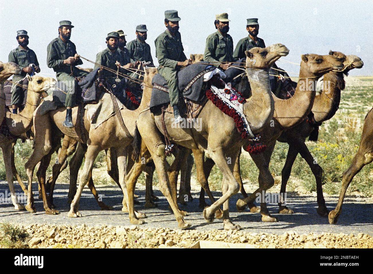 In the dust of the Iranian desert near Persepolis on July 5, 1971 ...