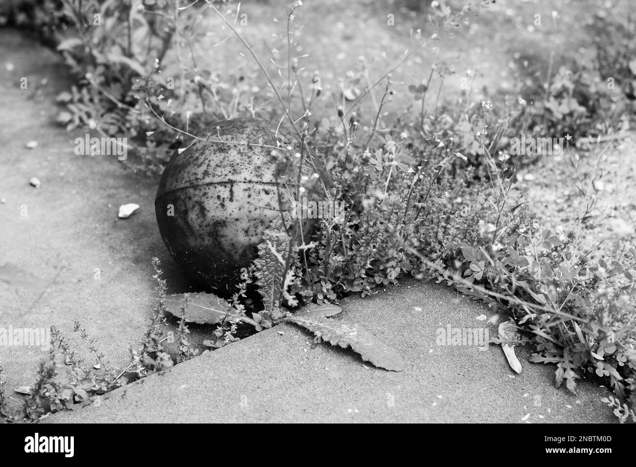Old rubber ball abandoned in the overgrown field in a black and white