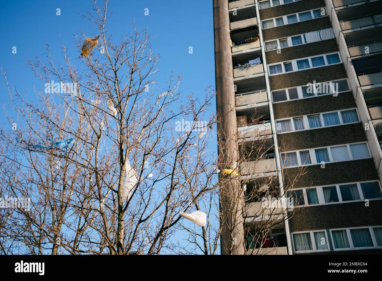 In Cologne Meschenich, people throw trash out of their windows. That's why the trash hangs in the trees. Stock Photo