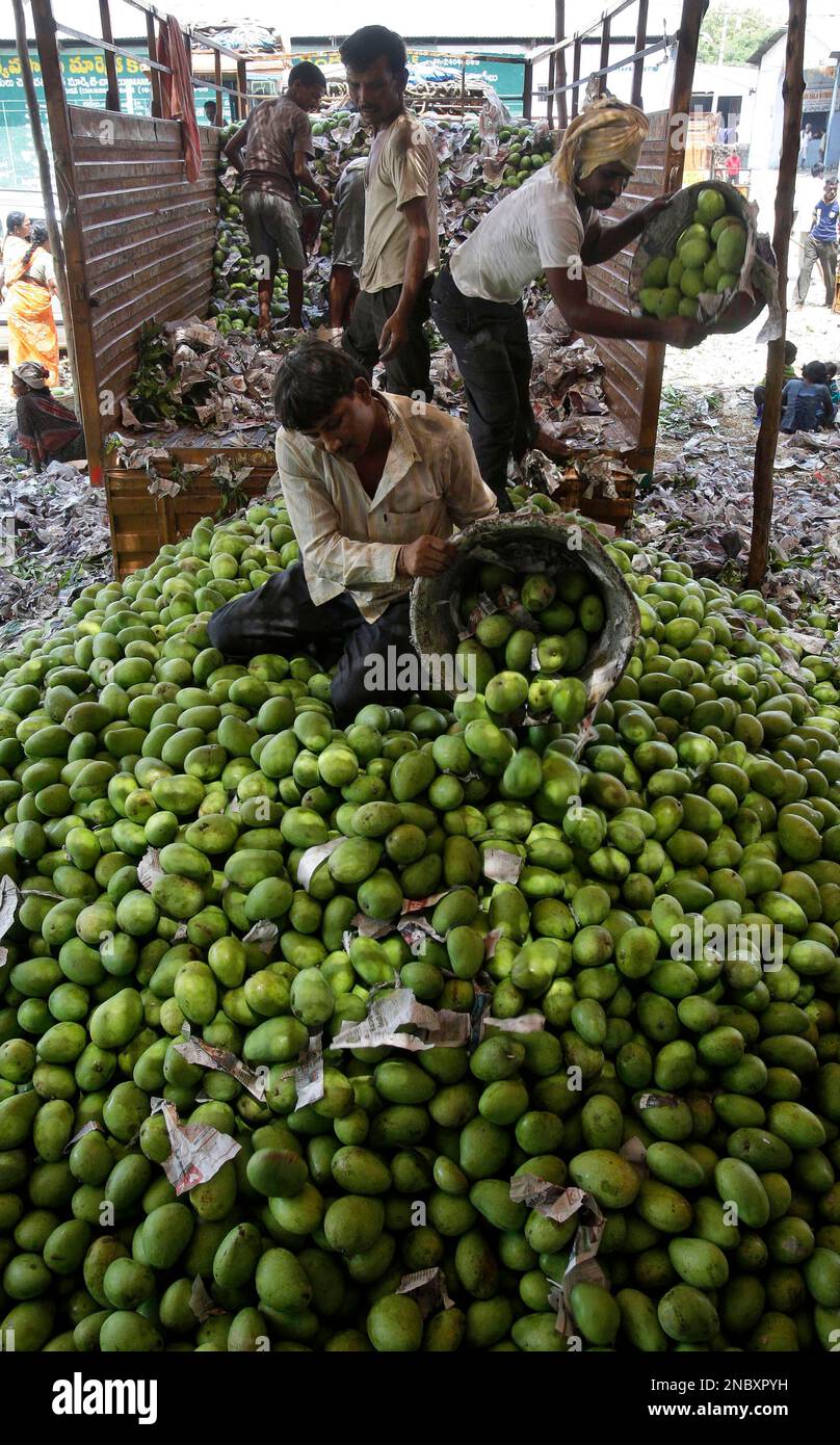 Indian laborers unload mangoes at a fruit market in Hyderabad, India