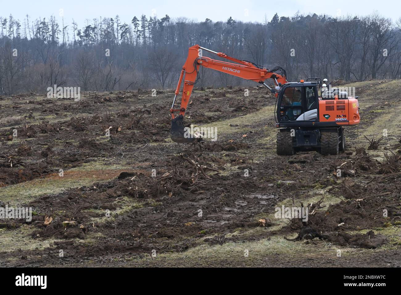 The loss of Czech fruit growers from last year's apple harvest will reach around Kc250m, which is due to the drop in farm prices of apples and the significantly increased costs of growing and, above all, harvest storing. Pictured orchad removal in Vilemov, Czech Republic, February 13, 2023. (CTK Photo/Ludek Perina) Stock Photo