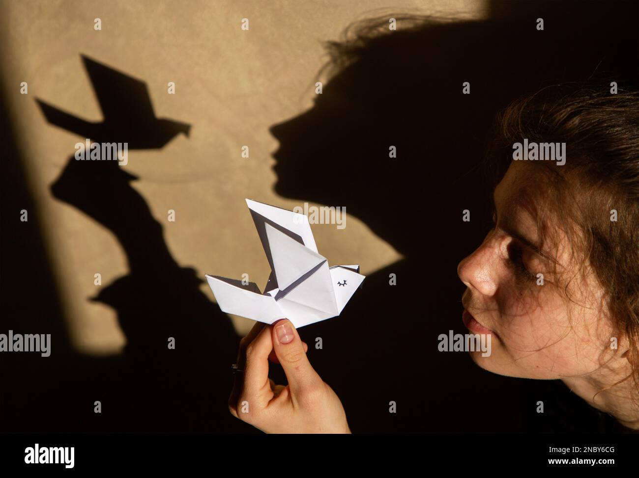 Contrasting shadows on the wall from a peace dove made of paper and a woman's face. Stop the war in Ukraine. play of shadow and light. dramatic female Stock Photo