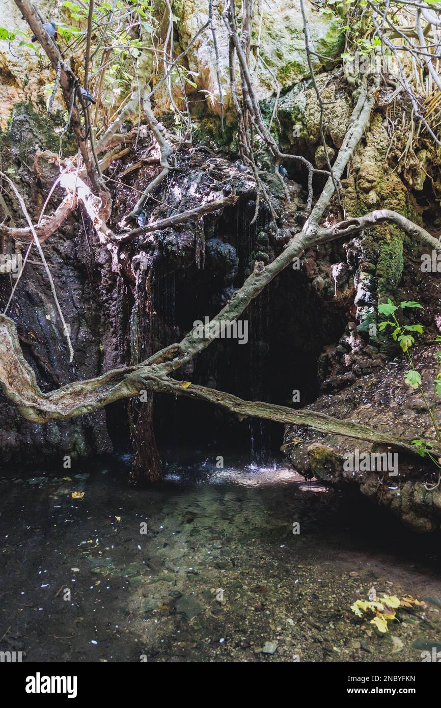 Natural grotto of the Baths of Aphrodite Botanical Garden in Akamas