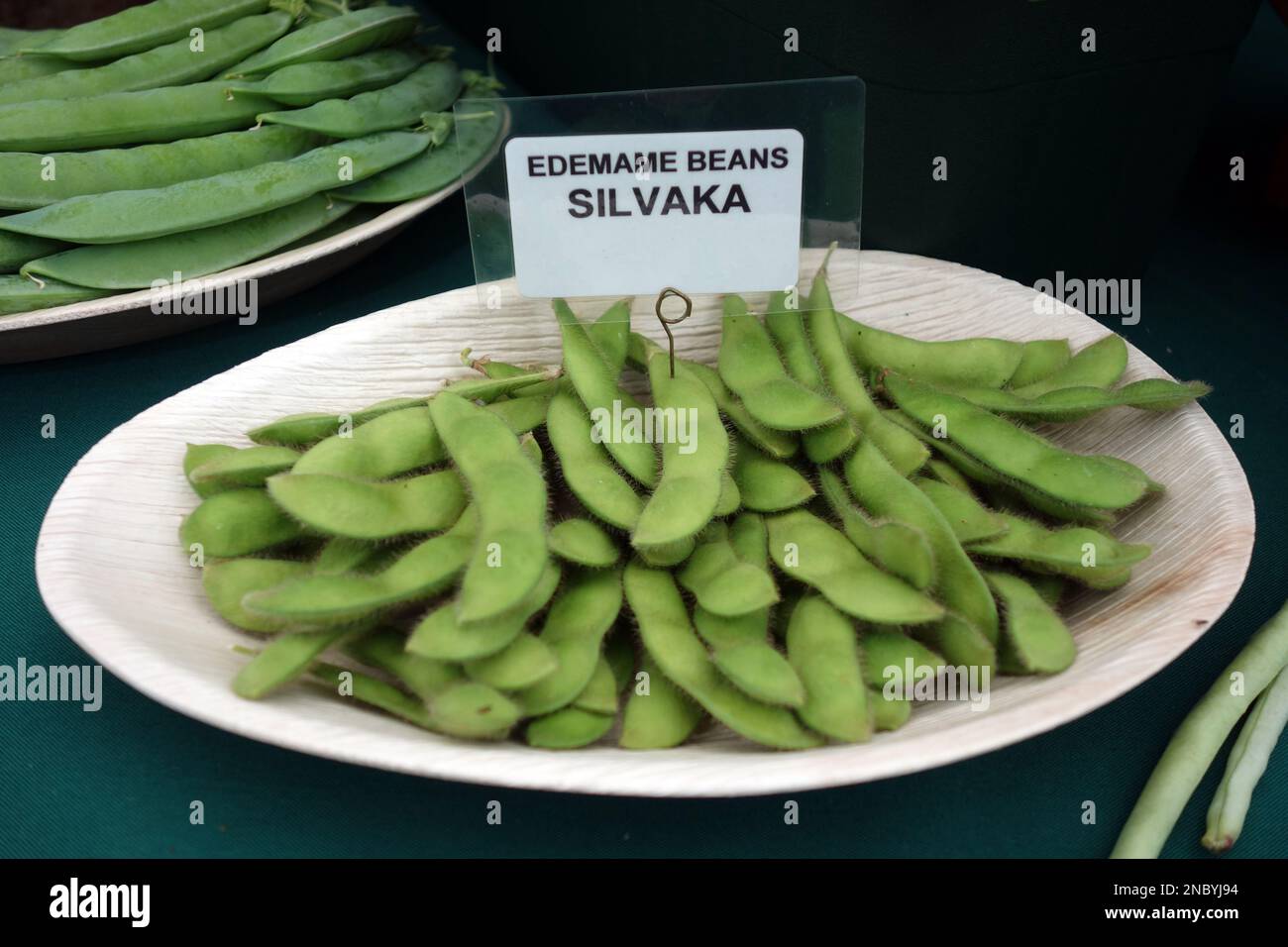 A Small Bowl of Edamame Bean Pods 'Silvaka' (Immature soybeans) on