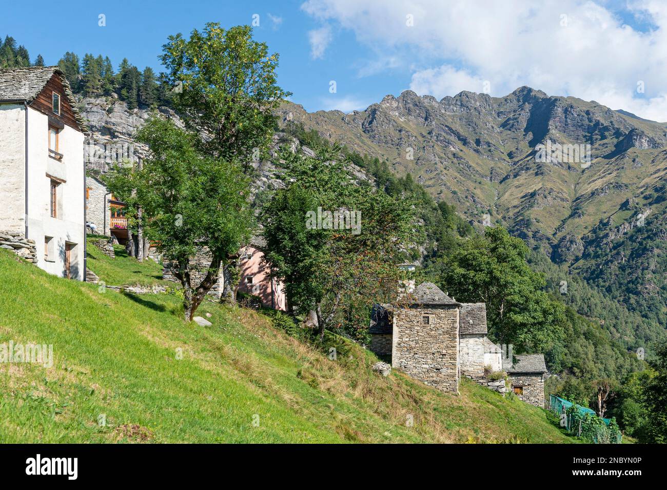 alpe seccio, boccioleto, italy Stock Photo Alamy