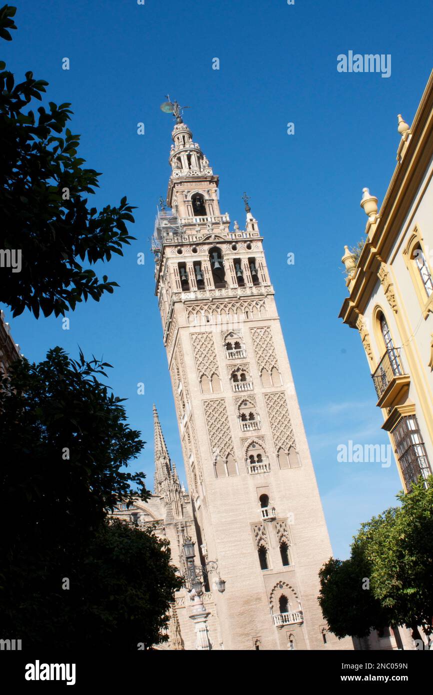 The Giralda, Cathedral Seville, Andalusia,Spain Stock Photo