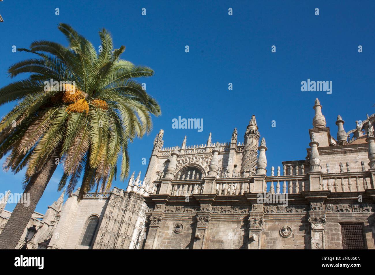Cathedral Seville, Andalusia,Spain Stock Photo