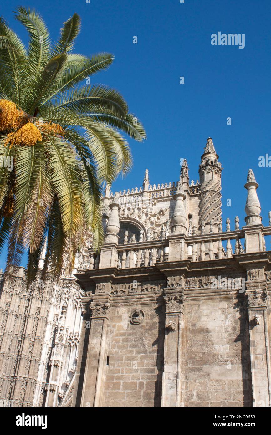 Cathedral Seville, Andalusia,Spain Stock Photo