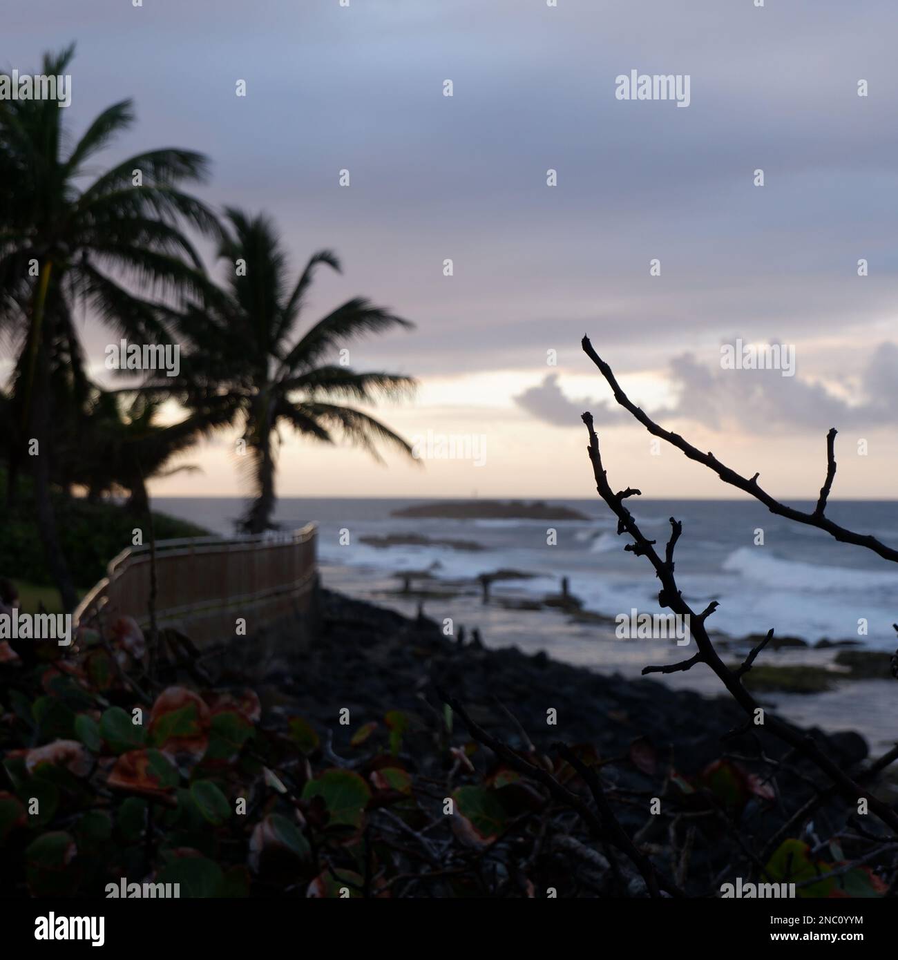 Puerto rico playa san juan hi-res stock photography and images - Alamy