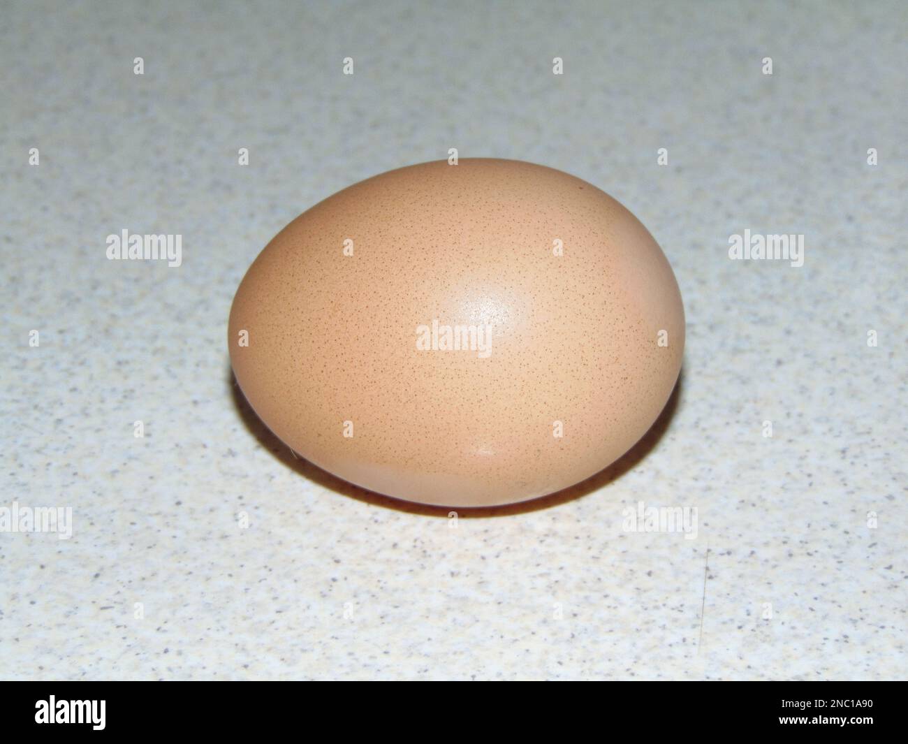 Chicken egg raw 9339329 PNG