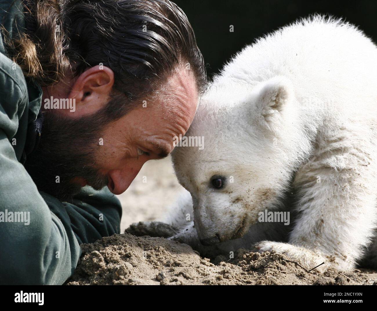 FILE In this March 23, 2007 file photo, Knut, the polar bear cub, has(02)