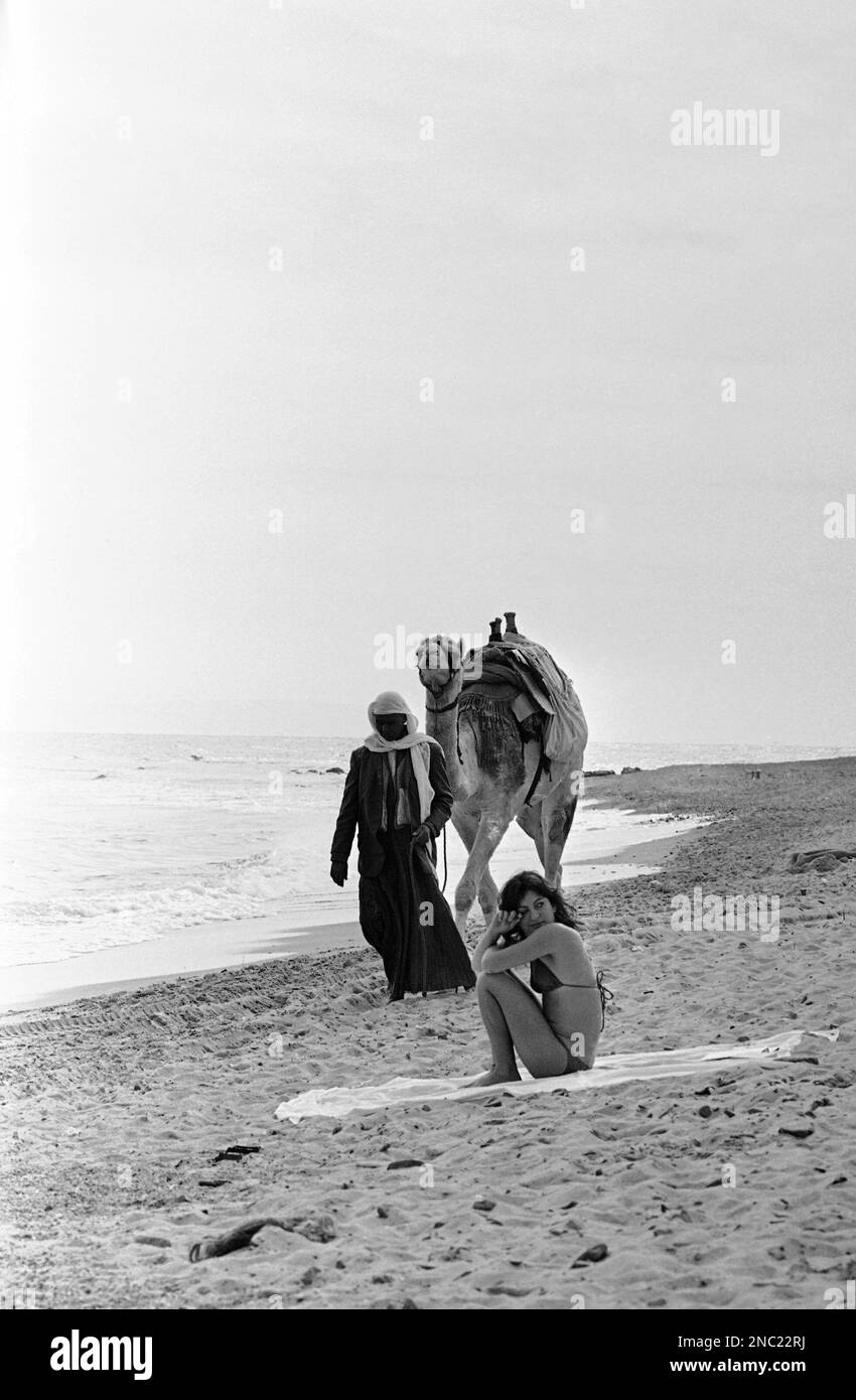 A woman in a western-style bathing suit sits on the beach in Nueba, Egypt,  Jan. 26, 1982 as a Bedouin and his camel walk along the beach. With the  closing of Neviot