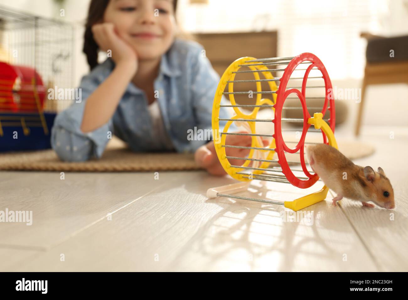 Little girl and her hamster in spinning wheel at home, focus on pet Stock Photo